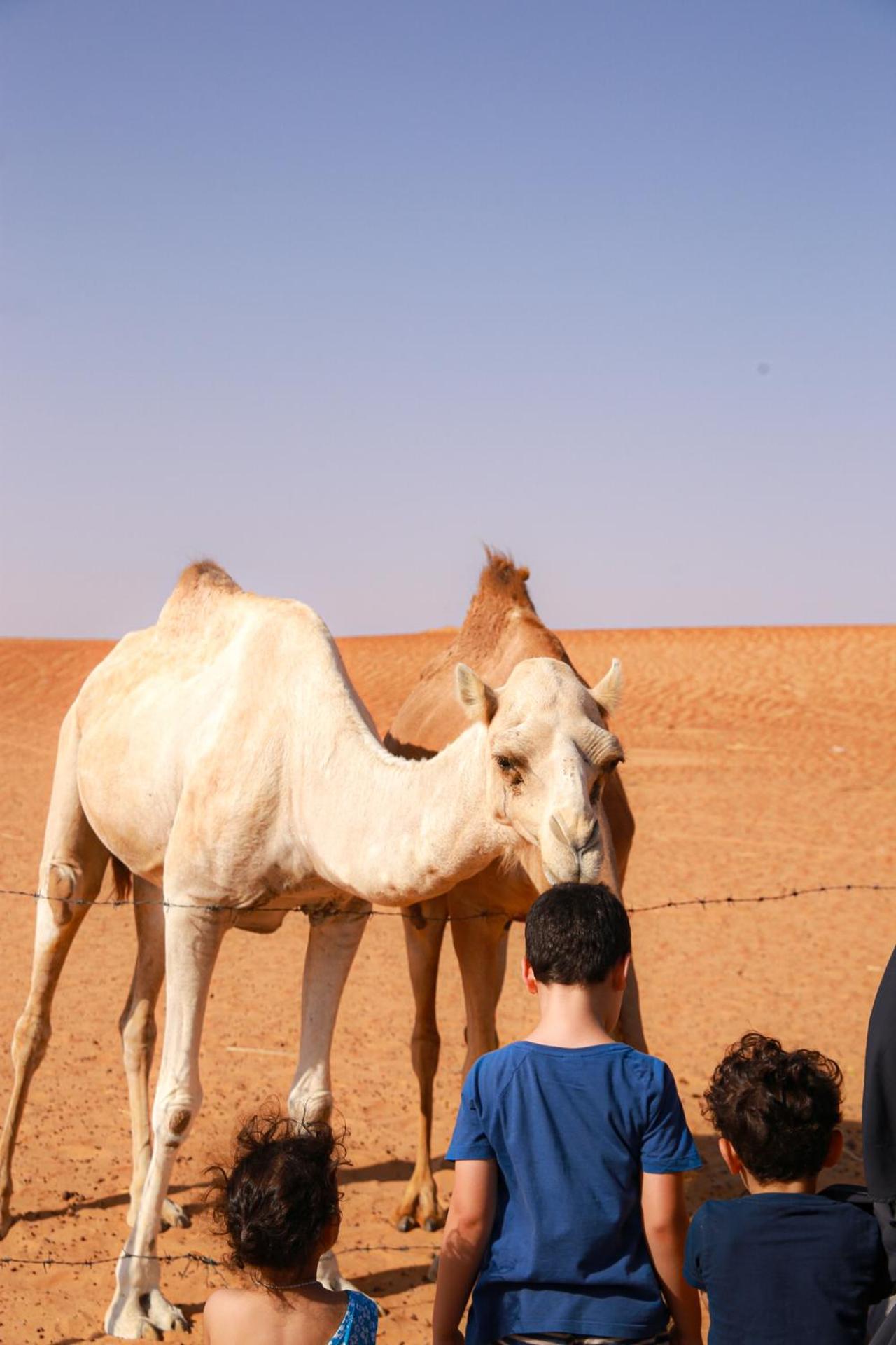 Wahiba Bedouin Rustic Camp Hotel Bidiya Bagian luar foto